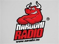 NARODNI RADIO ZENICA
